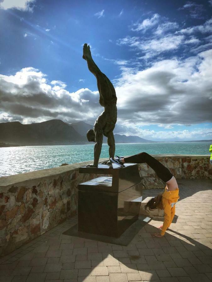 The Sun, Whales & Waves - Seafront Apartment Hermanus Exteriör bild
